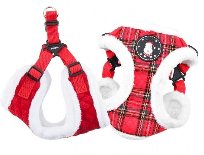Blitzen Harness C Red Xlge•