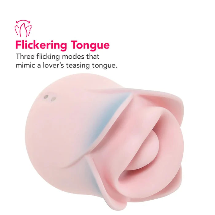 Blush Kissing Rose Vibe