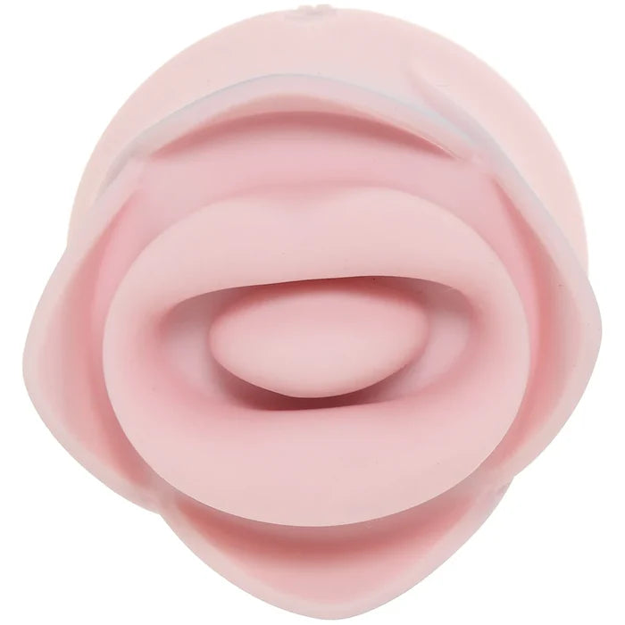Blush Kissing Rose Vibe