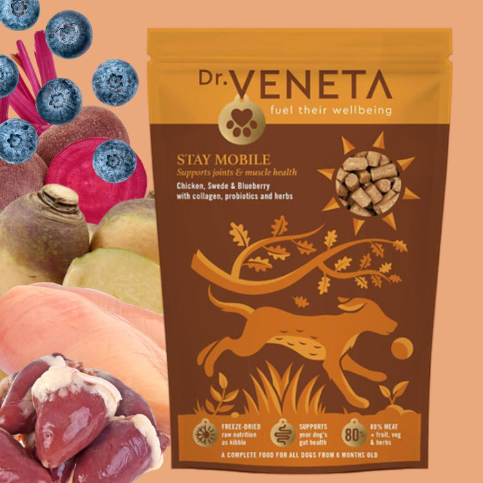 Dr. Veneta Stay Mobile dog food package with ingredients on a peach background