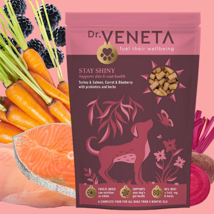 Dr. Veneta dog food package with fresh vegetables and salmon on a pink background