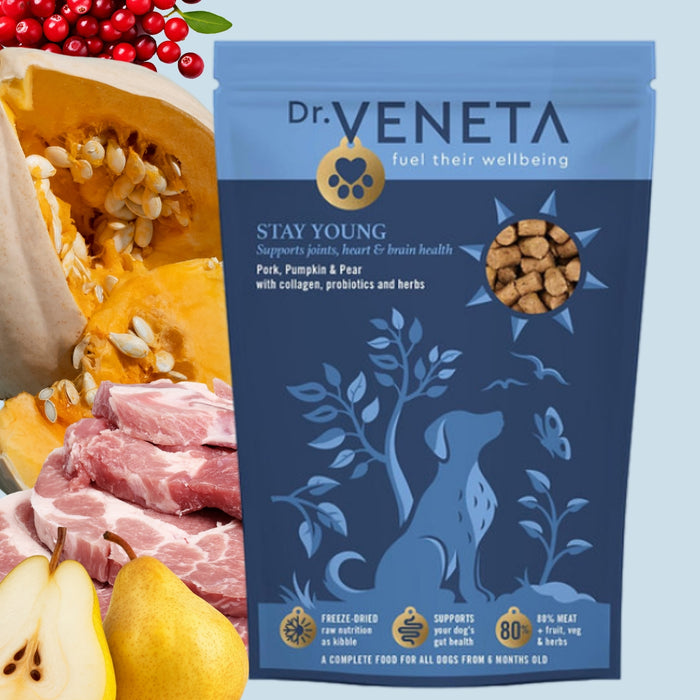 Dr. Veneta STAY YOUNG pet food package with ingredients like pork, pumpkin, and pear on a blue background