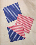 Geometry Dishcloth: Liberty