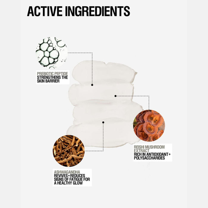 Grown Alchemist Skin Defense Primer (50ml) Concealers Grown Alchemist