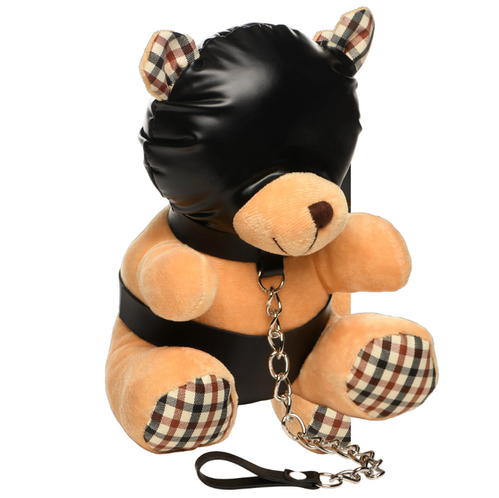 Hooded Bondage Teddy Bear