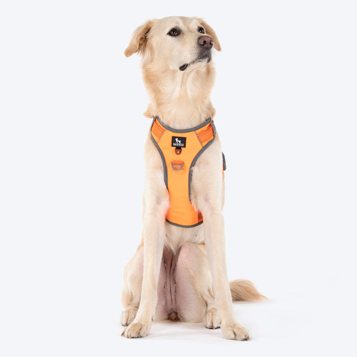 HUFT Active Pet Dog Harness - Orange_06