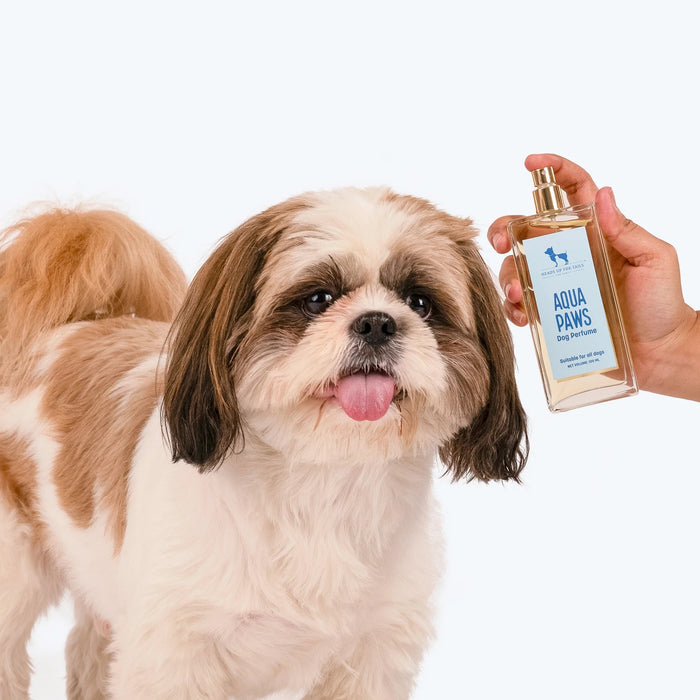HUFT Aqua Paws Dog Perfume (Over 12 Weeks) - 100 ml