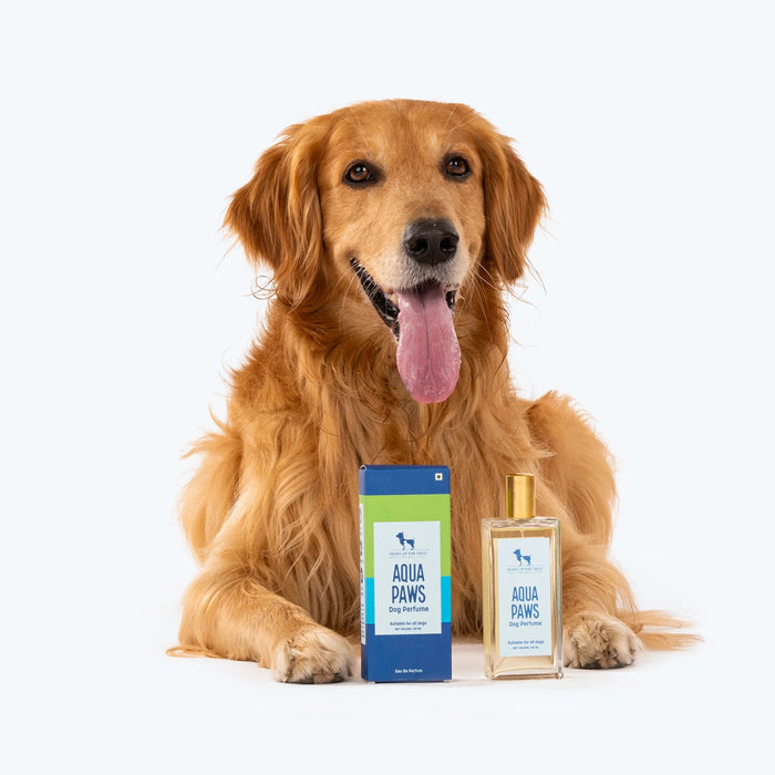 HUFT Aqua Paws Dog Perfume (Over 12 Weeks) - 100 ml