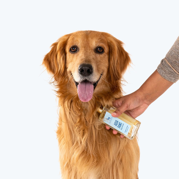 HUFT Aqua Paws Dog Perfume (Over 12 Weeks) - 100 ml