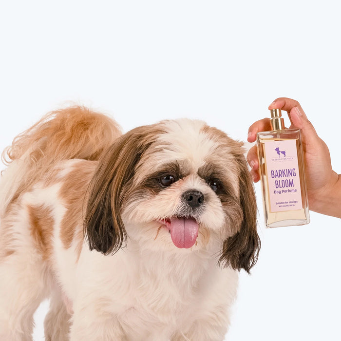 HUFT Barking Bloom Dog Perfume (Over 12 Weeks) - 100 ml