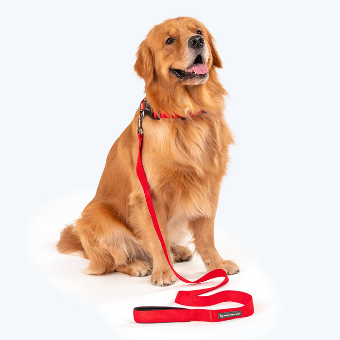 HUFT Basics Dog Leash - Crimson Red - Heads Up For Tails
