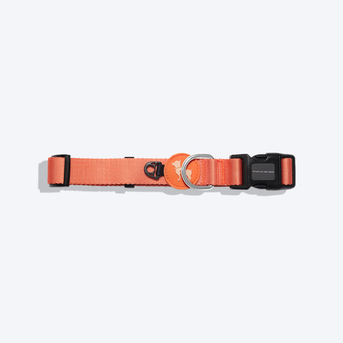 HUFT Classic Dog Collar - Orange (Can be Personalised) - Heads Up For Tails