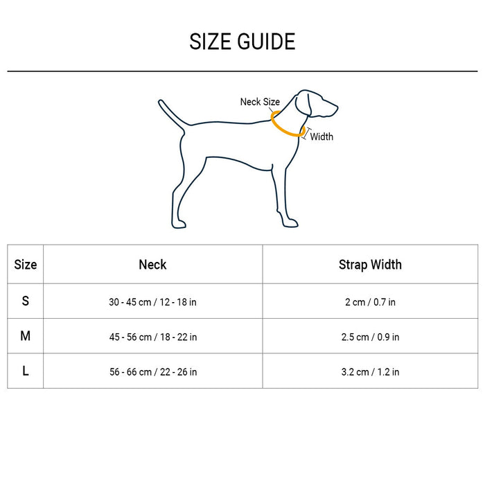 HUFT Classic Nylon Dog Collar - Orange (Can be Personalised) - Heads Up For Tails