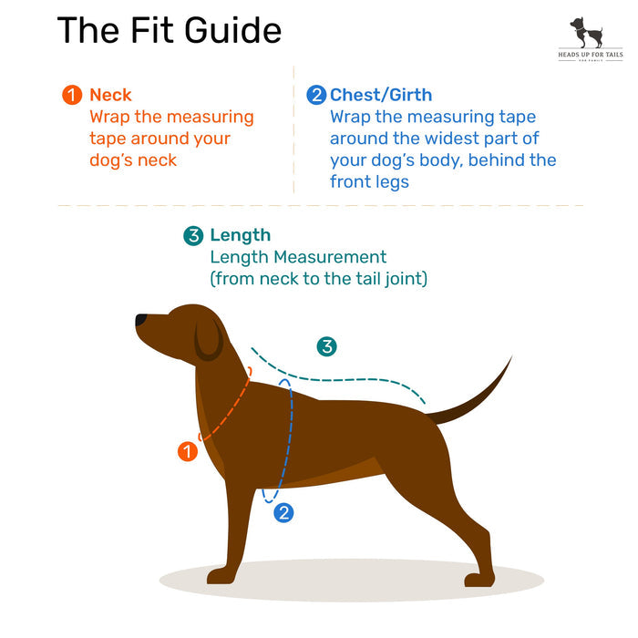 HUFT Classic Dog H Harness - Red - Heads Up For Tails