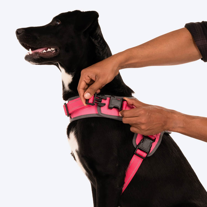 HUFT Easy On Dog Harness - Pink (Can be Personalised) - Heads Up For Tails