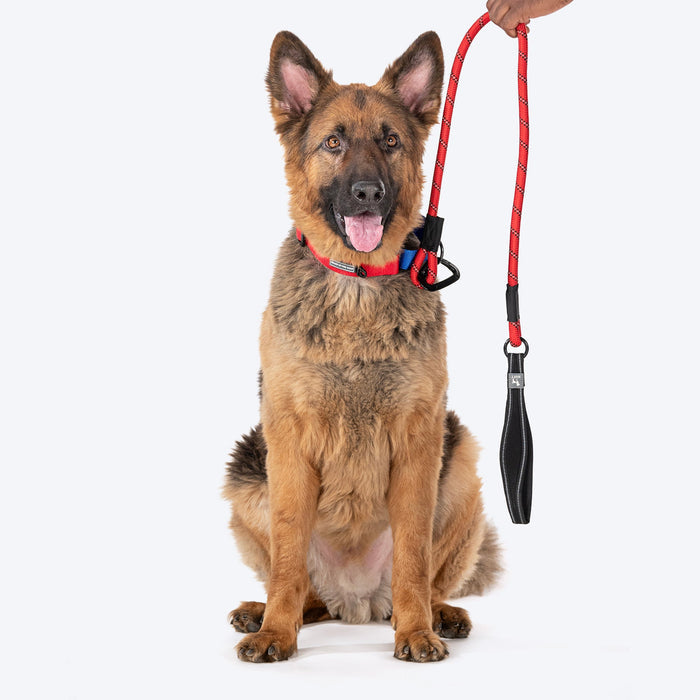 HUFT Rope Leash With Carabiner For Dog - Red - 1.2 m - Heads Up For Tails