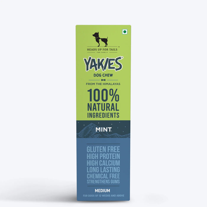 HUFT Yakies Vegetarian Natural Chew Bone - Mint