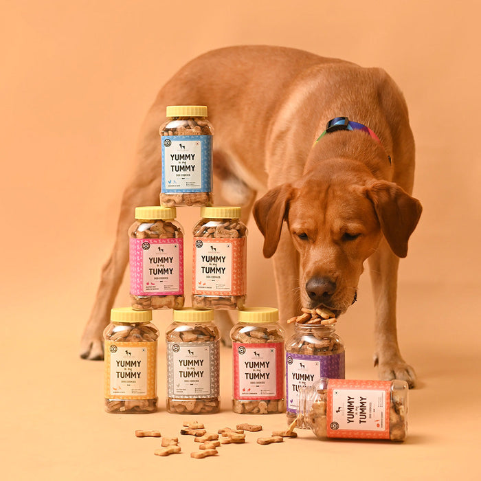 HUFT YIMT Chicken and Oats Dog Biscuits-3