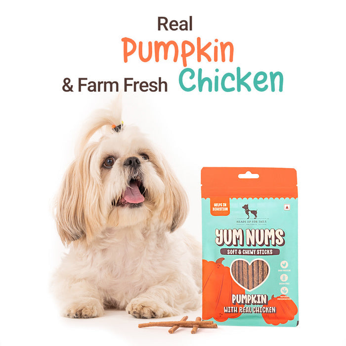 HUFT Yum Nums Soft & Chewy Sticks Pumpkin with Real Chicken Treat For Dogs - 75g - Heads Up For Tails
