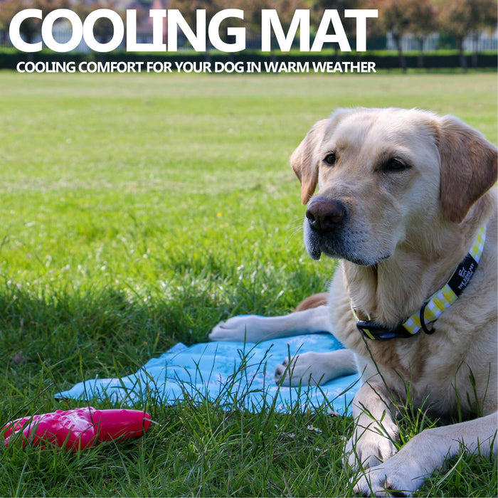 Ice Paws Cooling Mat Small or Large - Pilgrim Pet Supplies