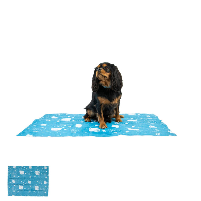 Ice Paws Cooling Mat Small or Large - Pilgrim Pet Supplies