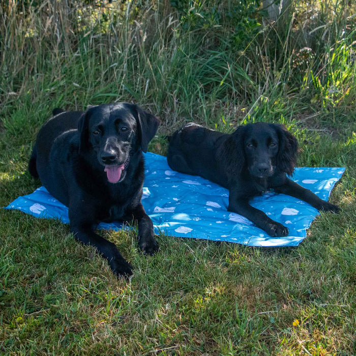 Ice Paws Cooling Mat Small or Large - Pilgrim Pet Supplies