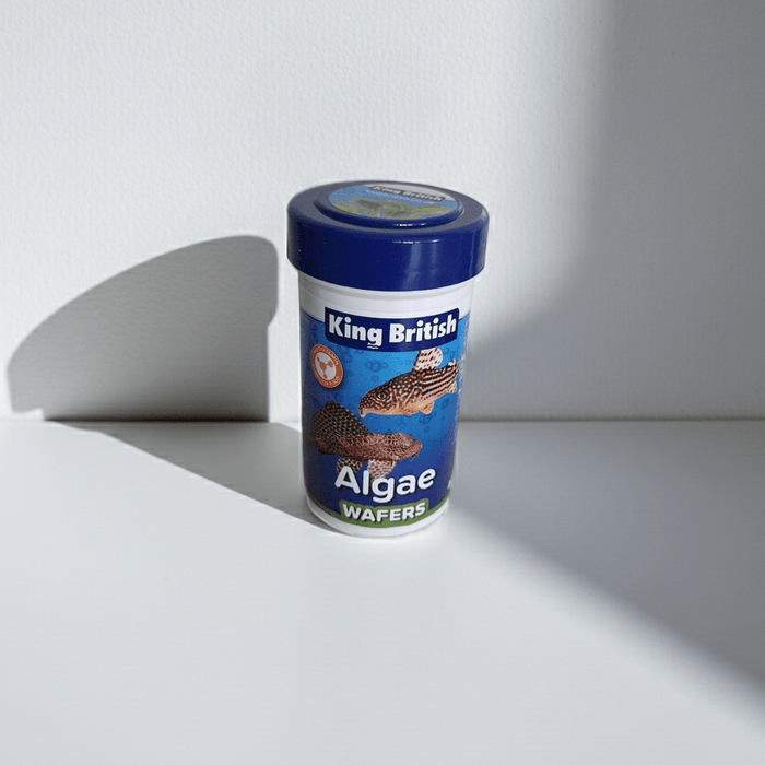King British 40g algae wafers - Pilgrim Pet Supplies