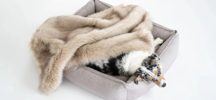 Labbvenn TÖSSE Dog Blanket-Blanket-Labbvenn- Silver Circle Pets