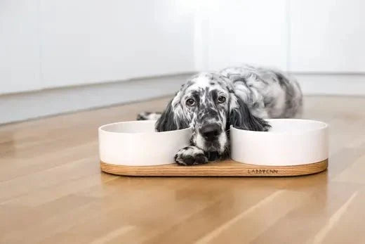 Labbvenn VUKU Ceramic Double Buffet-Pet Bowls, Feeders & Waterers-Labbvenn- Silver Circle Pets