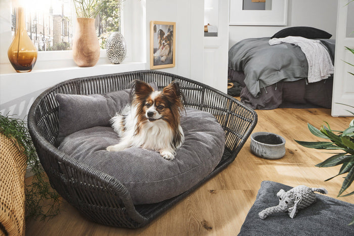 Laboni Luna Lounge Set Tudor Orthopaedic Dog Bed-Dog Bed-Laboni- Silver Circle Pets