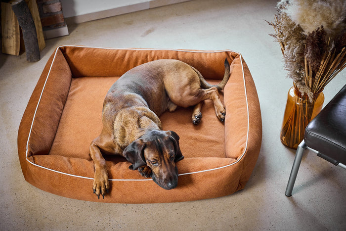 Laboni Orthopaedic Dog Bed Teddy-Dog Bed-Laboni- Silver Circle Pets