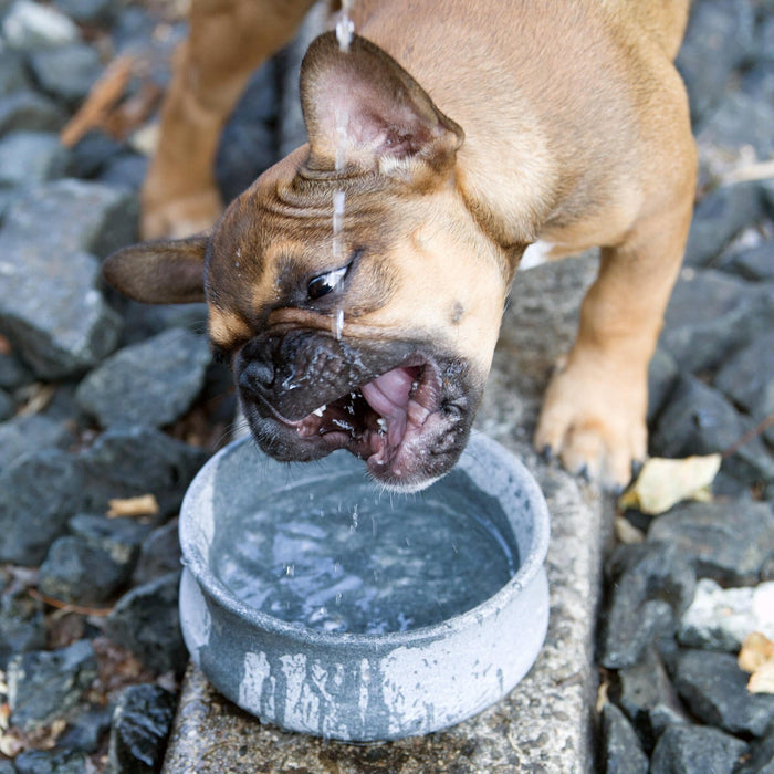 Laboni Soapstone Dog & Cat Bowl Rocky-Pet Bowls, Feeders & Waterers-Laboni- Silver Circle Pets