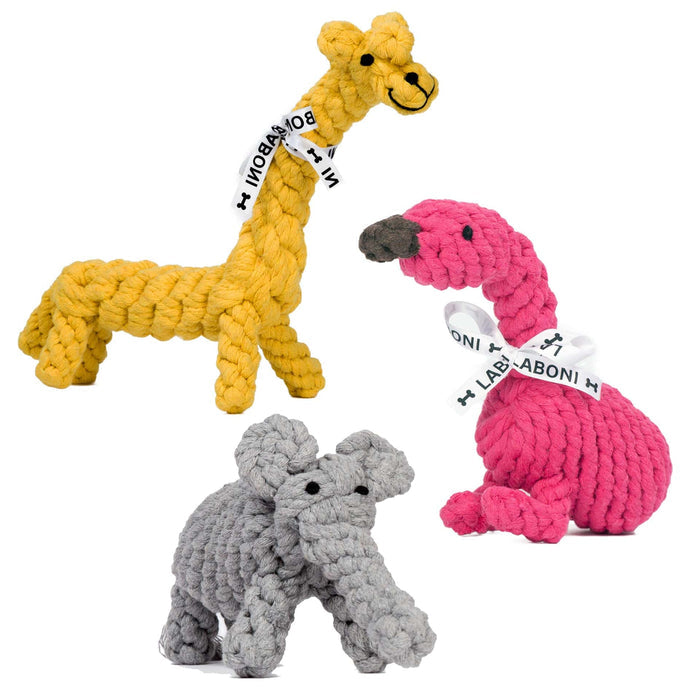 Laboni Summer Safari Dog Toy Set-Dog Toys-Laboni- Silver Circle Pets