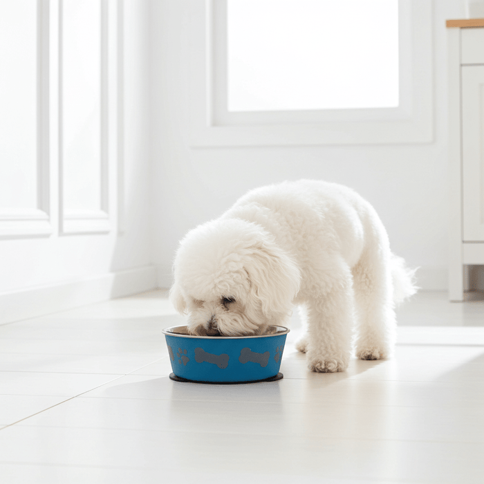 Large Anti Skid Dog Bowl 21.5cm - Pilgrim Pet Supplies