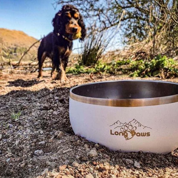 Long Paws - Lunar Bowl Set-Pet Bowls, Feeders & Waterers-Long Paws- Silver Circle Pets