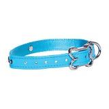 Luna Collar Xsml Blue Floral
