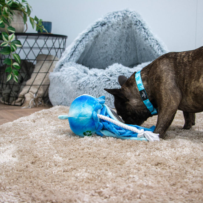 Made From Jellyfish Dog Toy | Eco - Friendly Recycled Plush - Pilgrim Pet Supplies