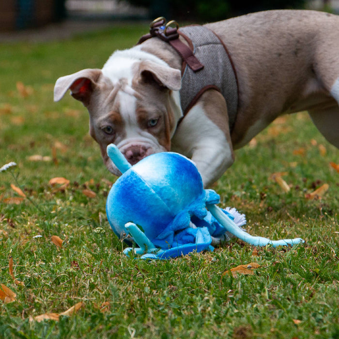 Made From Jellyfish Dog Toy | Eco - Friendly Recycled Plush - Pilgrim Pet Supplies
