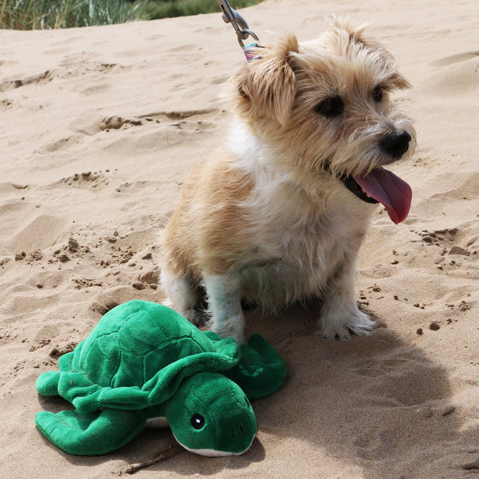 Made From Turtle - Pilgrim Pet Supplies