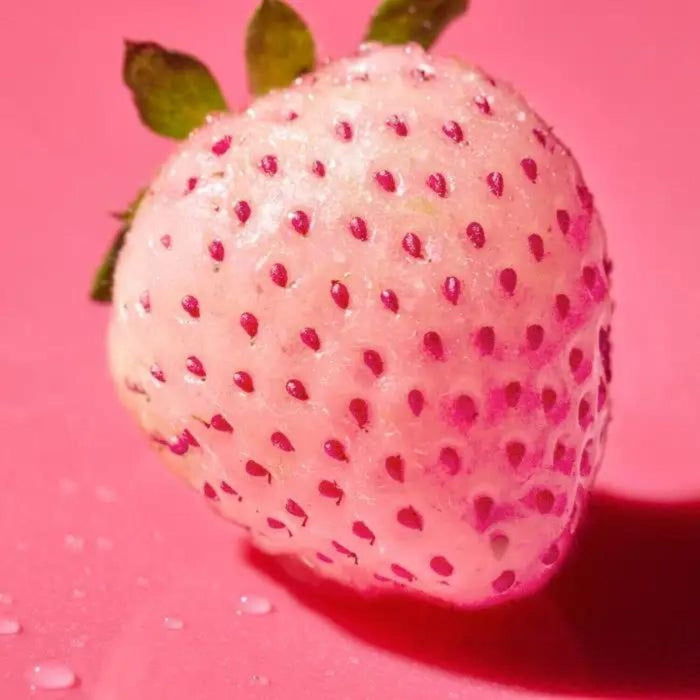 (Malin+Goetz) Strawberry Candle (260g) Candles (Malin+Goetz)