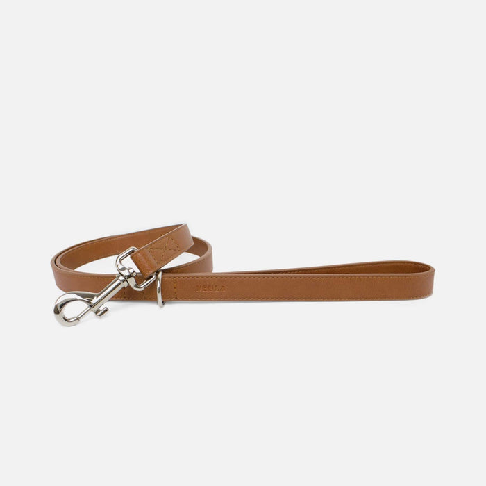 Neula Confidence Vegan Leather Dog Collar Walk Set-Collar & Leash Set-Neula- Silver Circle Pets