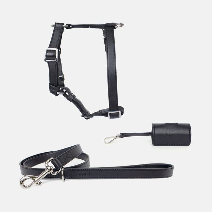 Neula Courage Vegan Leather Dog Harness Walk Set-Harness & Leash Set-Neula- Silver Circle Pets