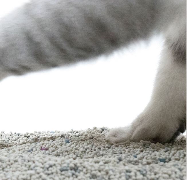 Noba Clean Bentonite Ball Cat Litter - Lavender Scent