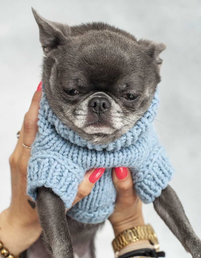 Oh Charlie BeBe’s Dog Sweater-Dog Jumper-Oh Charlie- Silver Circle Pets