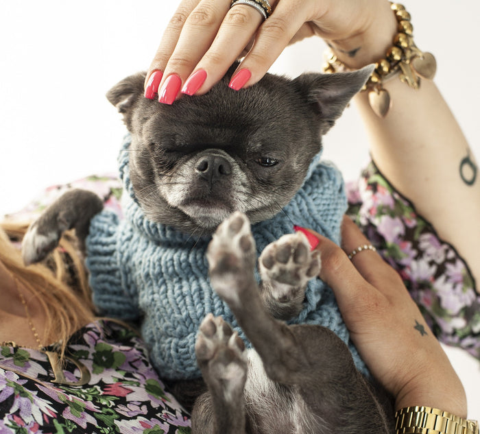 Oh Charlie BeBe’s Dog Sweater-Dog Jumper-Oh Charlie- Silver Circle Pets