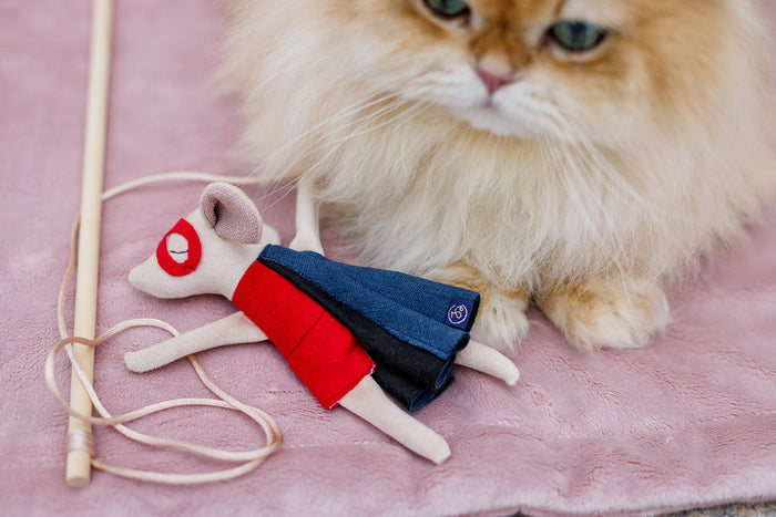 Oh Charlie Cat Toy-Cat Toys-Oh Charlie- Silver Circle Pets