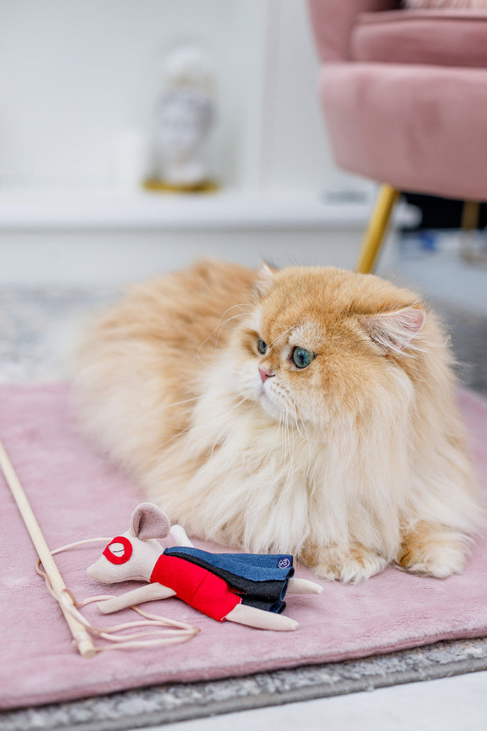Oh Charlie Cat Toy-Cat Toys-Oh Charlie- Silver Circle Pets
