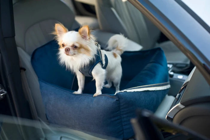 Oh Charlie Dog Car Seat Bed Allure-Dog Car Seat-Oh Charlie- Silver Circle Pets
