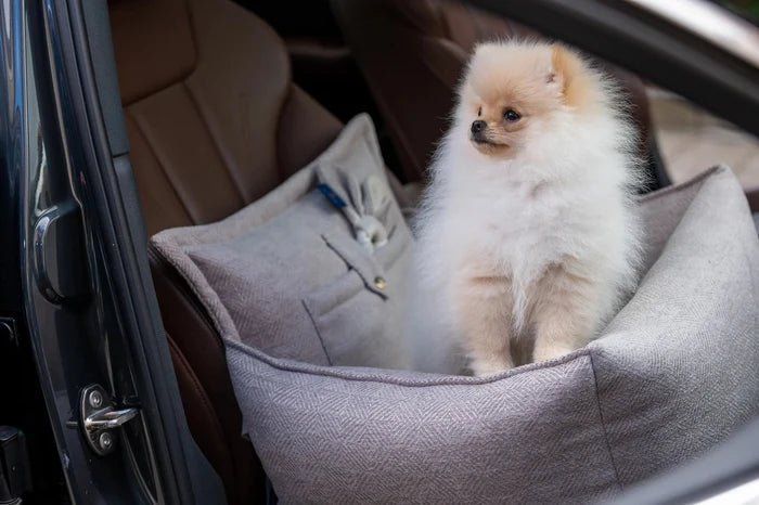 Oh Charlie Dog Car Seat Bed Florence-Dog Car Seat-Oh Charlie- Silver Circle Pets