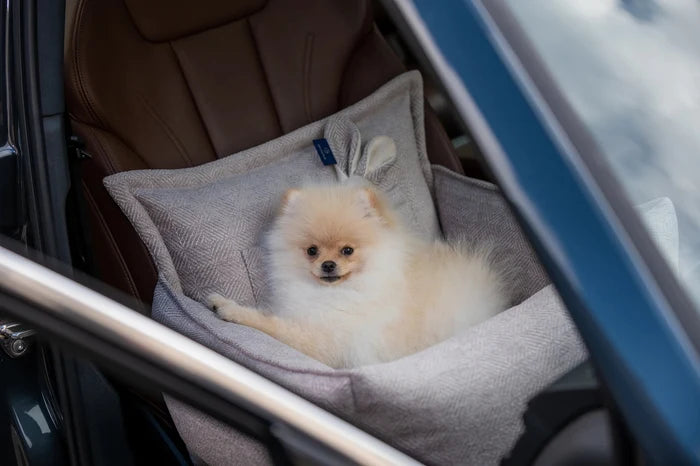 Oh Charlie Dog Car Seat Bed Florence-Dog Car Seat-Oh Charlie- Silver Circle Pets